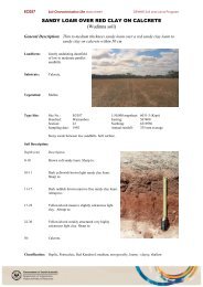 SANDY LOAM OVER RED CLAY ON CALCRETE (Wudinna ... - asris