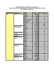 Creditos por Municipio al 29.02.09 - Banco de Desarrollo Productivo