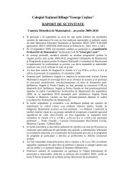 Raport de activitate matematica.pdf - Colegiul NaÈional Bilingv ...