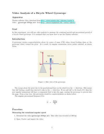 Video Analysis of a Bicycle Wheel Gyroscope