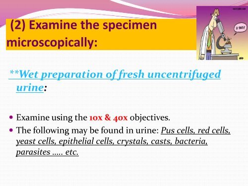 Urine samples