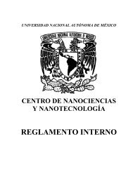 Reglamento interno del CNyN - Universidad Nacional AutÃ³noma de ...