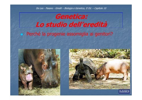 Genetica: Lo studio dell'eredità - Bgbunict.it