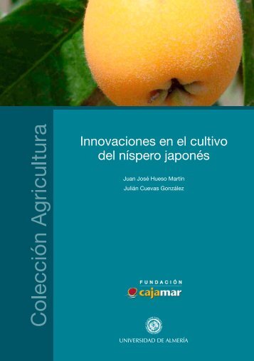 Innovaciones en el cultivo del nÃ­spero japonÃ©s