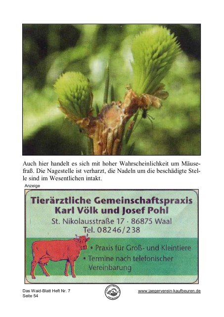 Das Waid-Blatt - Jagdschutz- und Jägerverein Kaufbeuren