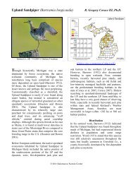 Upland Sandpiper - Michigan Breeding Bird Atlas Website