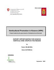Export Opportunities for kosovo Horticulture crops in ... - HELVETAS