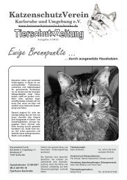 Ausgabe 01/2012 - KatzenschutzVerein Karlsruhe und Umgebung eV
