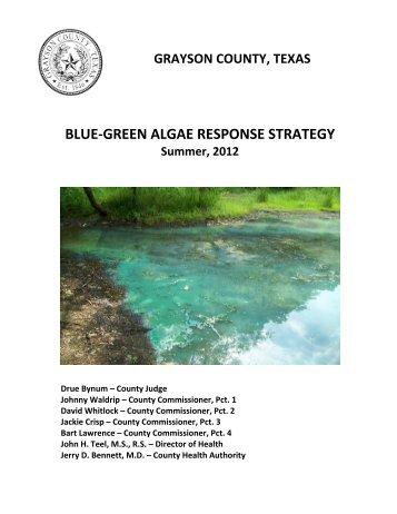 blue-green algae response strategy - Grayson County, Texas