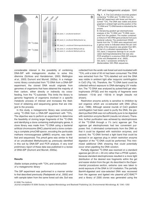 Dumont et al. 2006 - The Department of Ecology and Evolutionary ...