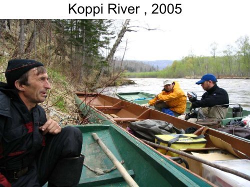 Creation of the first river reserve for Parahucho perryi in Russia, and ...