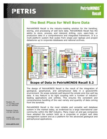 PetrisWINDS Recall - Net Brains