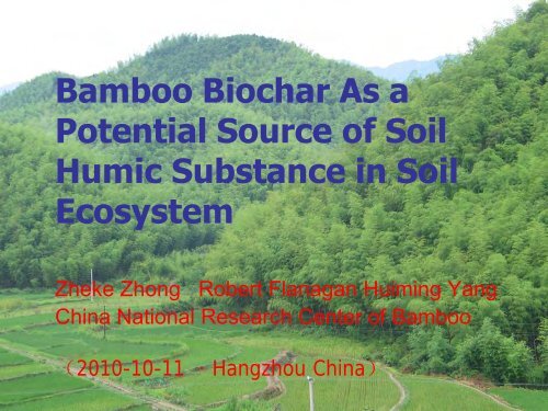 Bamboo Biochar As a Potential Source of Soil Humic Substance in ...