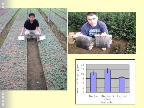 Bamboo Biochar As a Potential Source of Soil Humic Substance in ...