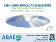 ABAE - Margarida Gomes