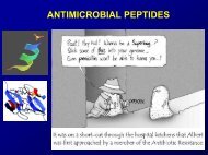 Lecture Antimicrobial peptides .pdf