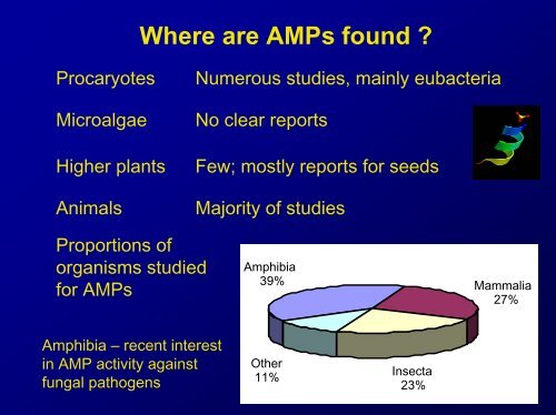 Lecture Antimicrobial peptides .pdf