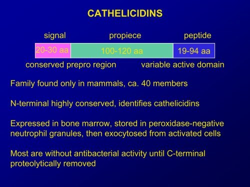 Lecture Antimicrobial peptides .pdf