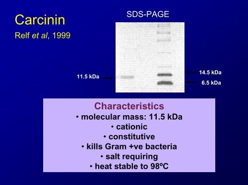 Lecture Antimicrobial peptides .pdf