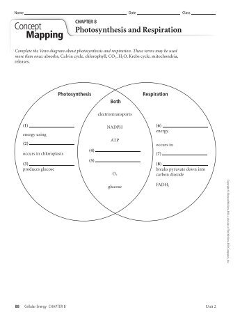 Level 1 Assignments Chapter 8 - Cobb Learning