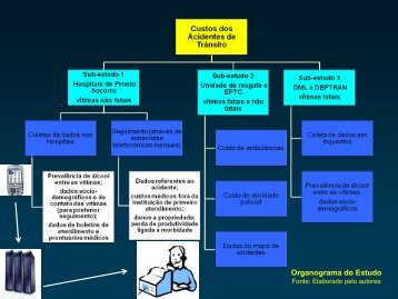 Organograma do Estudo