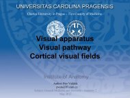 Visual apparatus Visual pathway Cortical visual fields