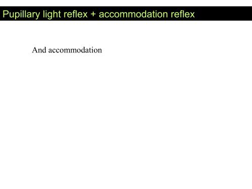 Visual apparatus Visual pathway Cortical visual fields