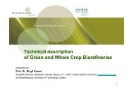 Technical description of Green and Whole Crop ... - Biorefinery