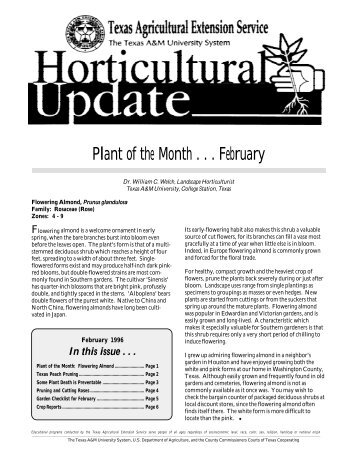 Plant of the Month . . . February - Aggie Horticulture - Texas A&M ...