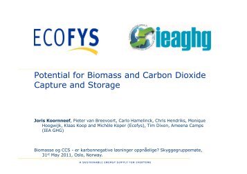 Potential for Biomass and Carbon Dioxide Capture and ... - Bellona