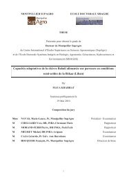 Thèse Kharrat - Montpellier SupAgro