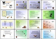 Minibeast Poems - KS1 Resources