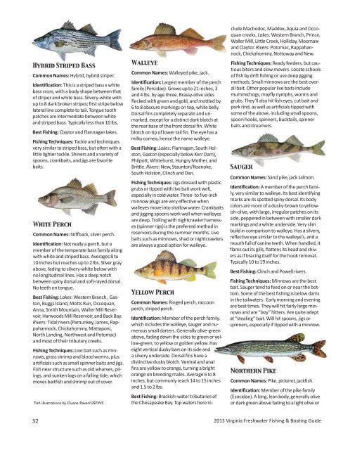 2013 Virginia Freshwater Fishing & Watercraft Owner's Guide