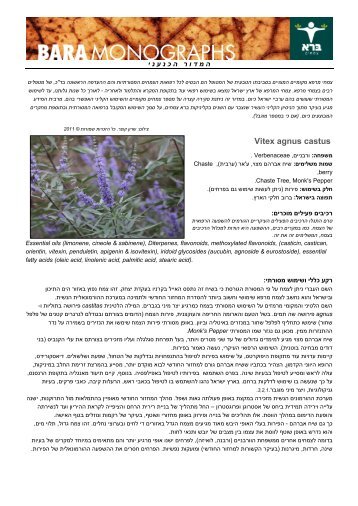 שיח אברהם מצוי – Vitex angus castus - ברא צמחים