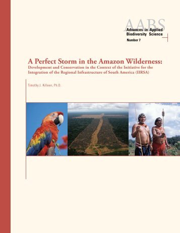 A Perfect Storm in the Amazon Wilderness - Philip M. Fearnside