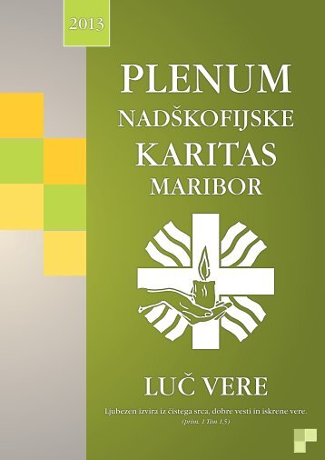 NÅ KM - Plenumska 2013 - NadÅ¡kofijska karitas Maribor