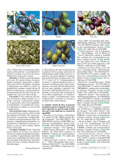 Undici varietÃ  di olivo adatte agli ambienti con inverni freddi