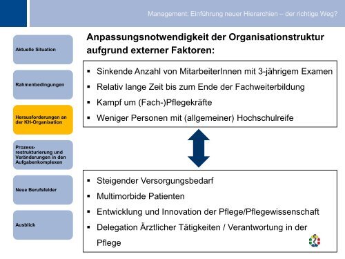 Maier, Irene: Einfuehrung neuer Hierarchien - Heilberufe