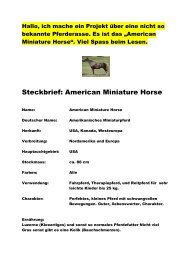 Steckbrief: American Miniature Horse