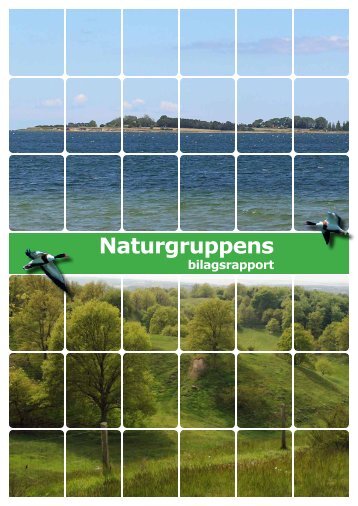 bilag til naturgruppens rapport - Nationalpark Sydfyn