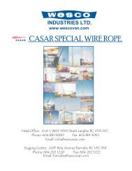 CASAR SPECIAL WIRE ROPE - Wesco Industries Ltd.