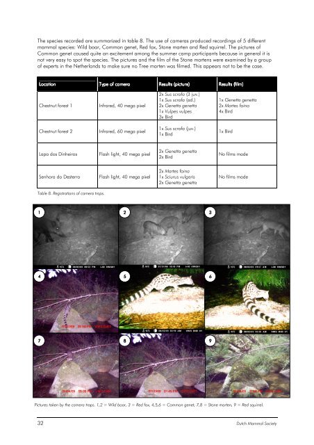 mammal survey serra da estrela portugal - De Zoogdiervereniging