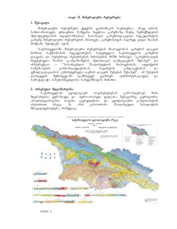 Tavi 13. mineraluri resursebi 1. Sesavali ... - momxmarebeli.ge