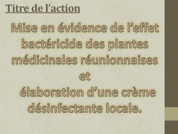 ce lien, le diaporama de Mme Austruy et des commentaires comme ...