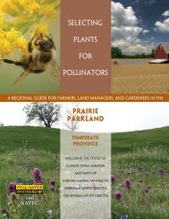 Prairie Parkland - Pollinator Partnership