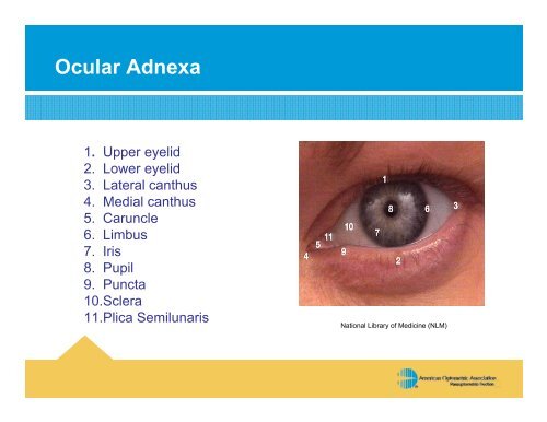 Certified Paraoptometric Technician Review Course CPOT - Idaho ...