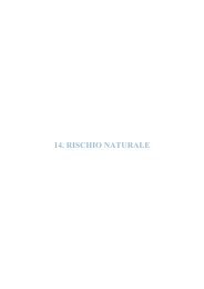 14. RISCHIO NATURALE - Ispra
