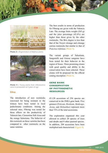 varieties creation and conservation of plant genetic resources