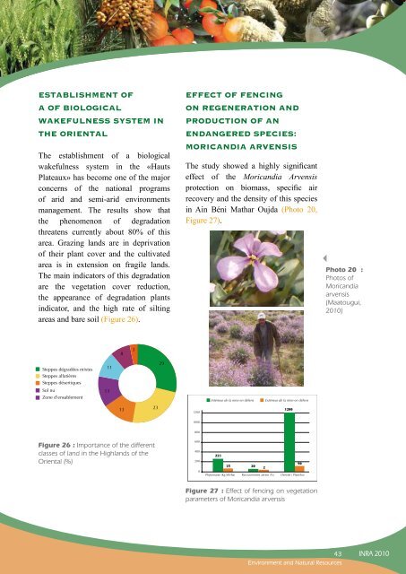 varieties creation and conservation of plant genetic resources