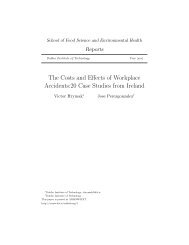 The Costs and Effects of Workplace Accidents:20 Case Studies from ...